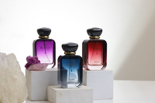 How to Choose Your Signature Scent: Hydra vs Blossomia vs Whisk - Wand Fragrance