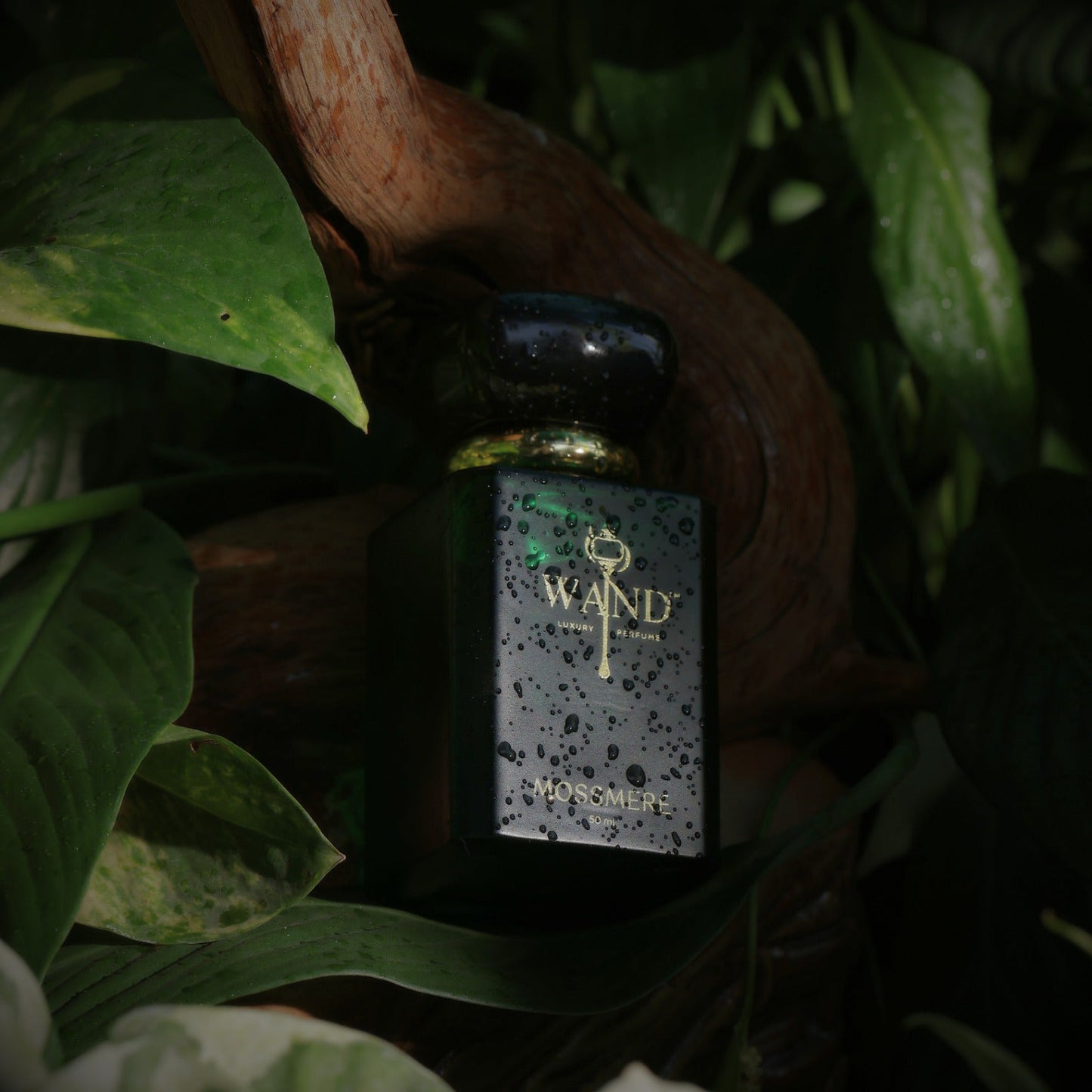 Mossmere Extrait de Parfum (50ml) - Wand Fragrance