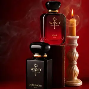 After Dark Collection